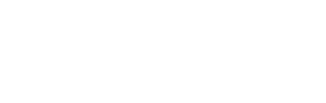 Algorithm Institute